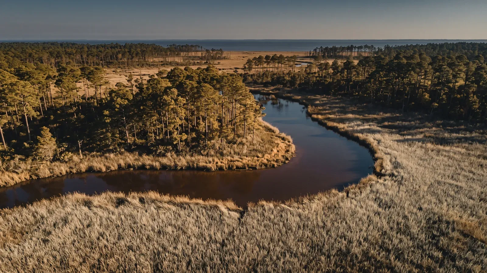 Landscape typical of Jackson County, Mississippi