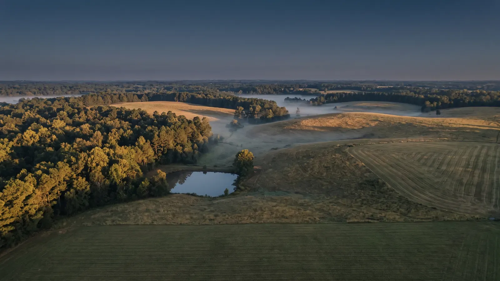 Landscape typical of Oktibbeha County, Mississippi