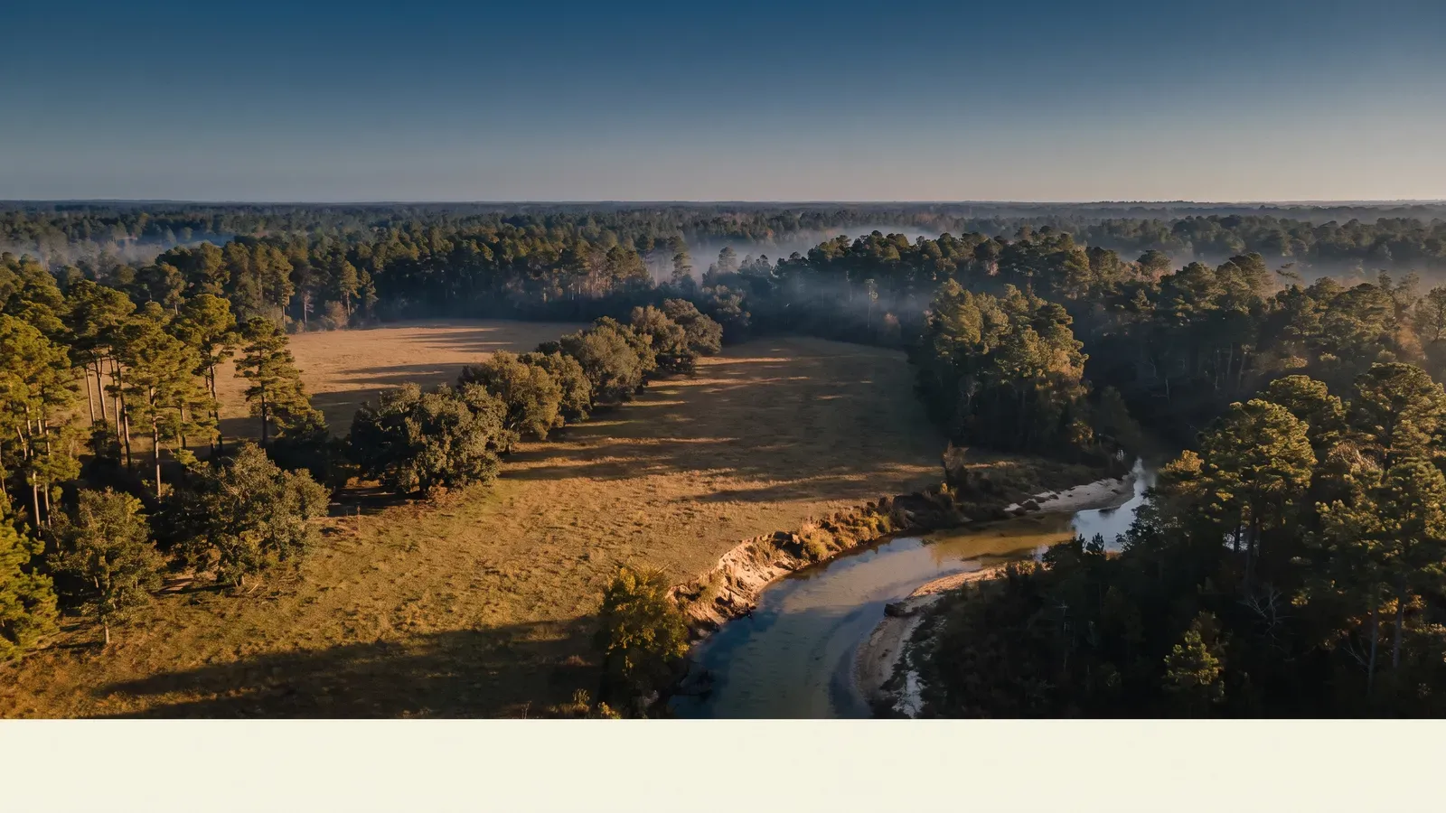 Landscape typical of St. Tammany Parish, Louisiana